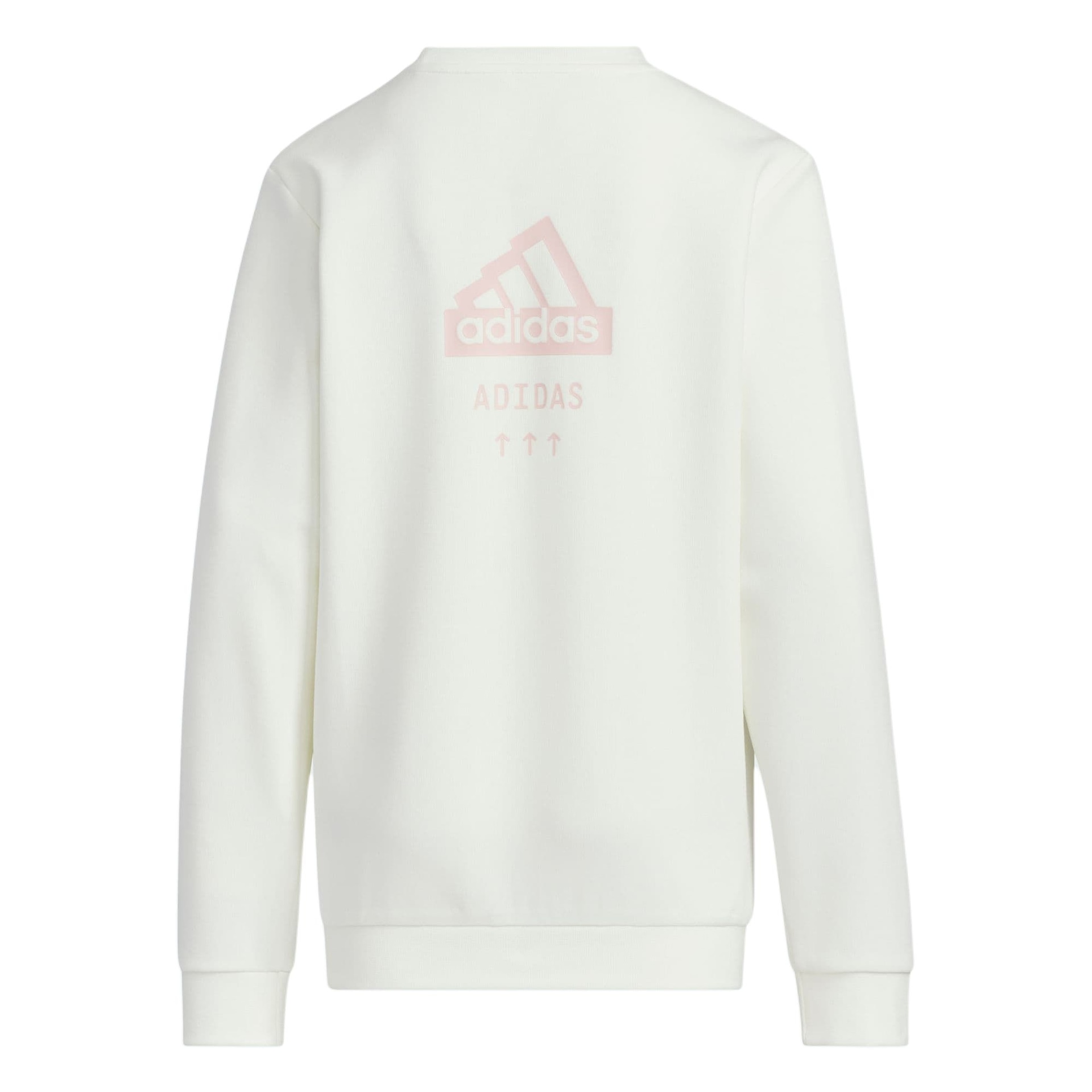 Adidas OUTDOOR SWEATSHIRT — фото 1