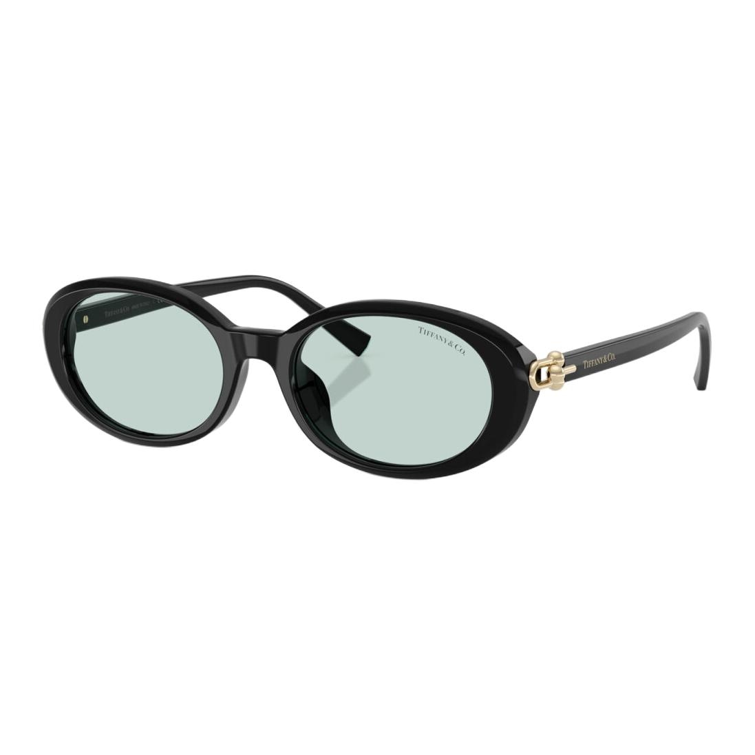 Очки Tiffany & Co. Oval Acetate Sunglasses Black