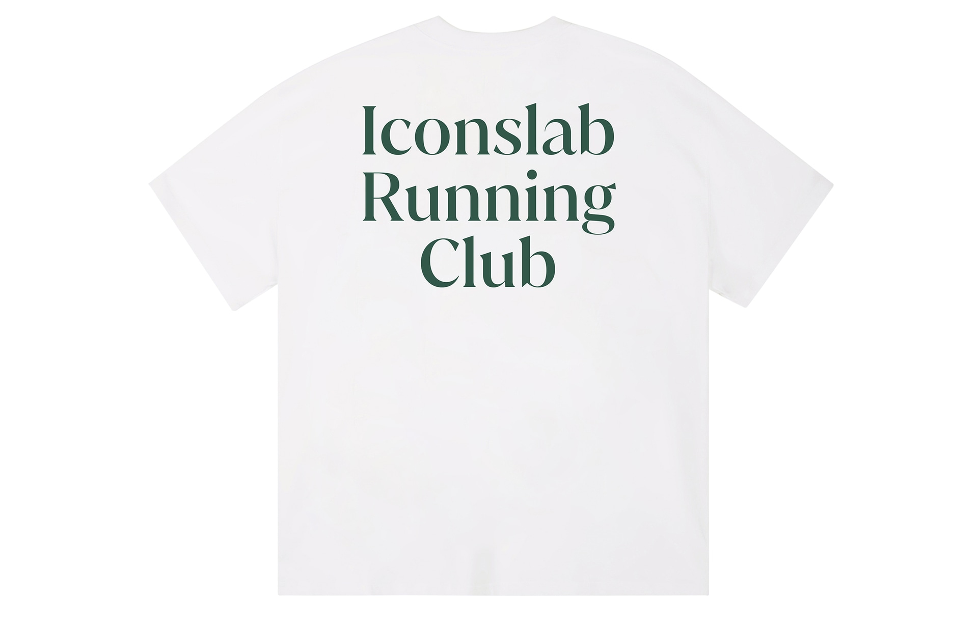 ICONS Lab ICS T