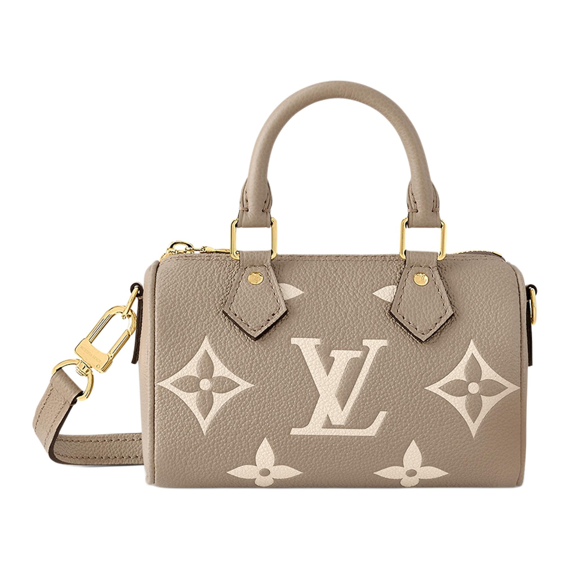 Сумки Louis Vuitton Speedy Nano