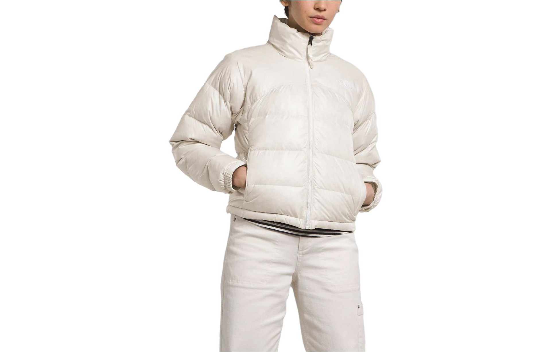 The North Face 2000 Retro Nuptse Jacket Logo