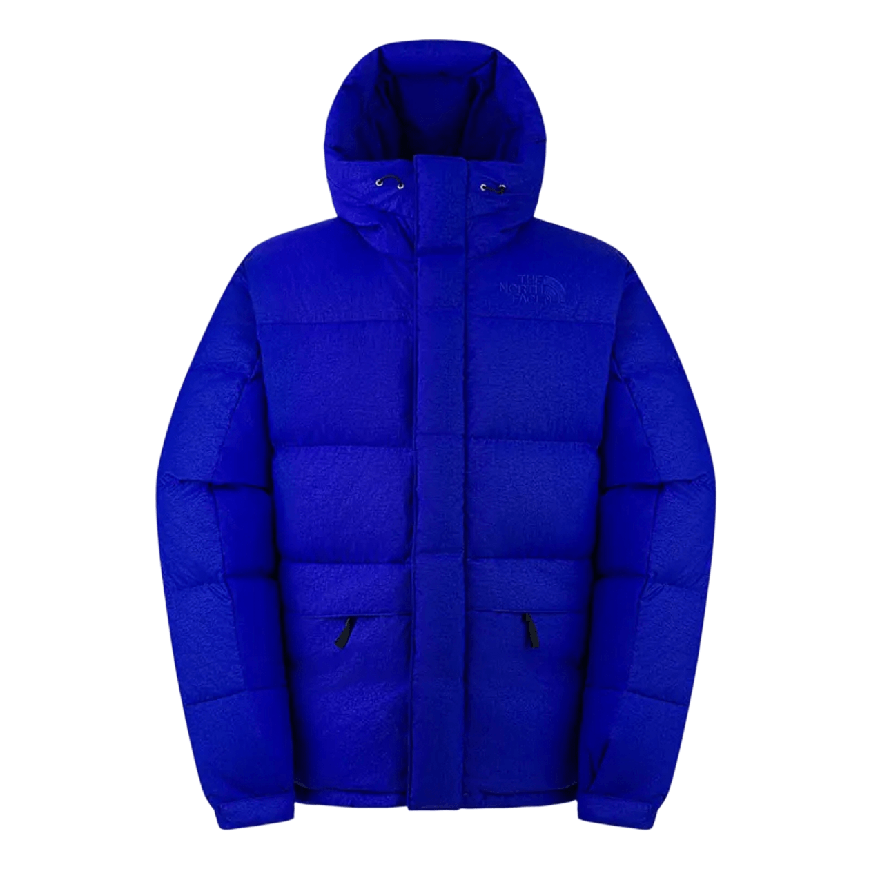 The North Face ICON FW25 HMLYN 550
