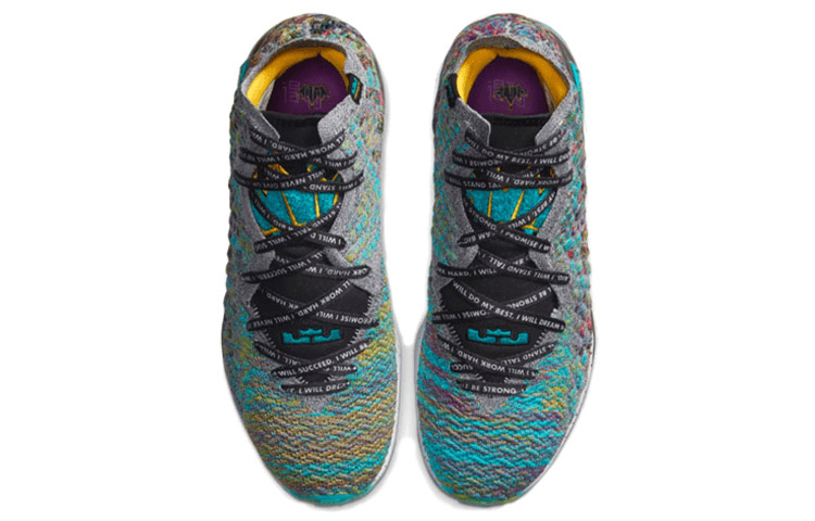 Nike Lebron 17 "I Promise" — фото 2