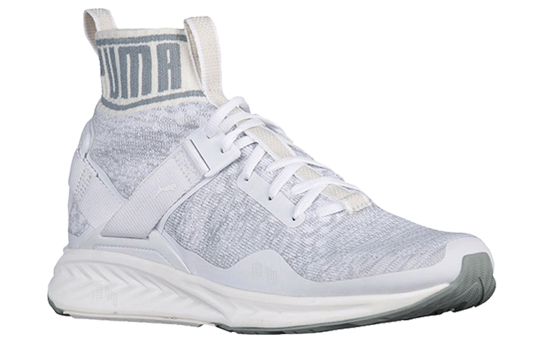 Puma IGNITE evoKNIT — фото 1