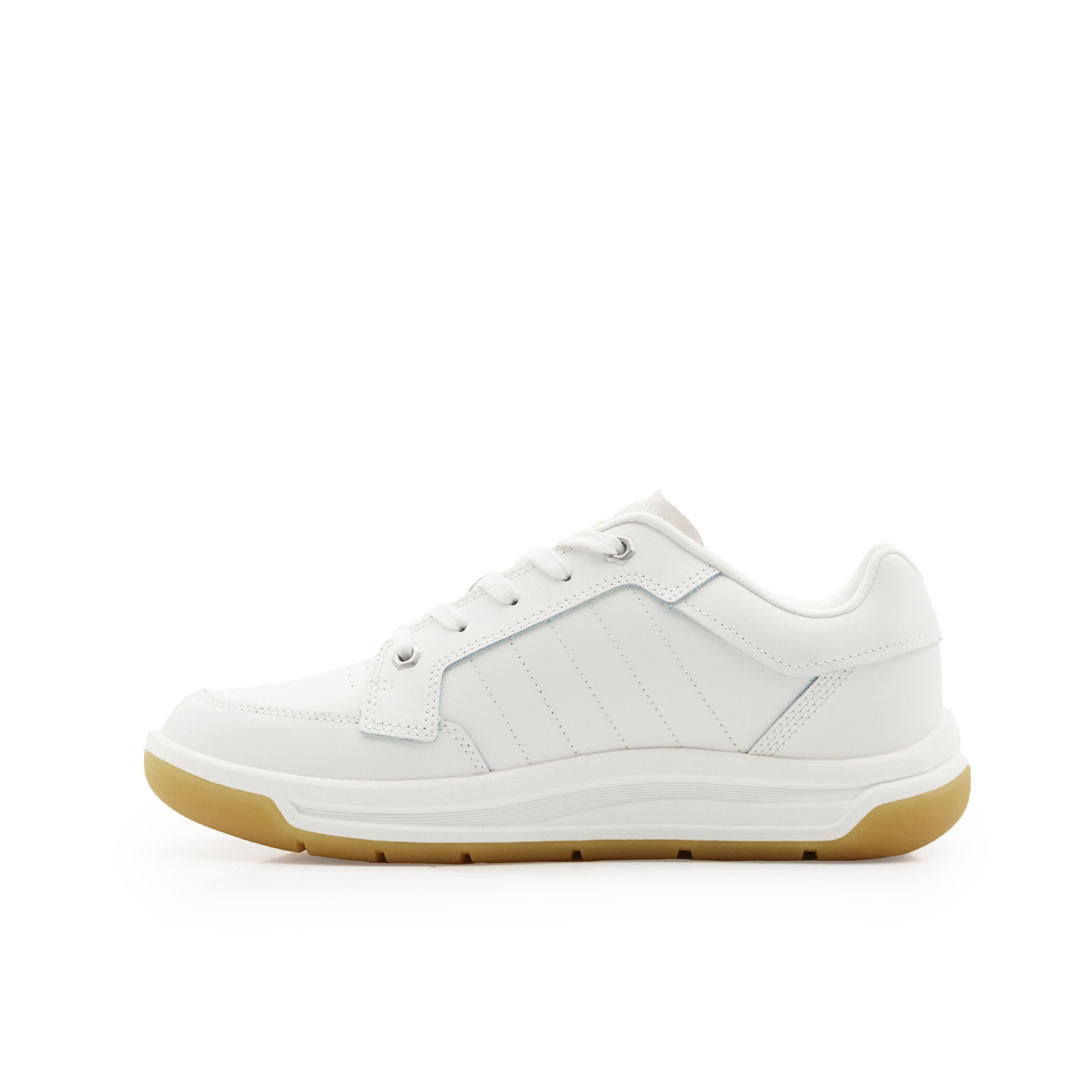 Cat Outdoor Low White