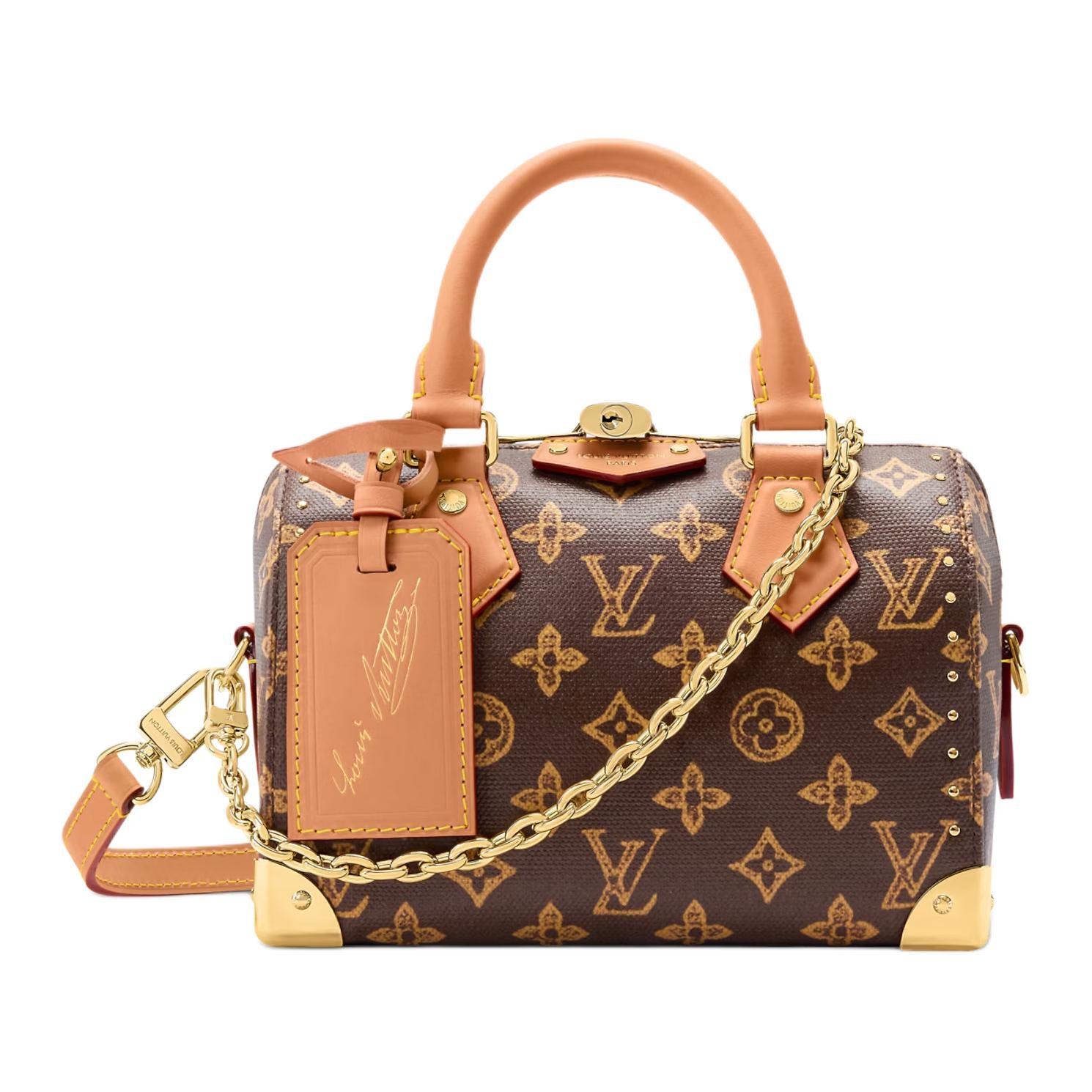 Сумки Louis Vuitton Monogram 130Speedy TRUNK 20 20