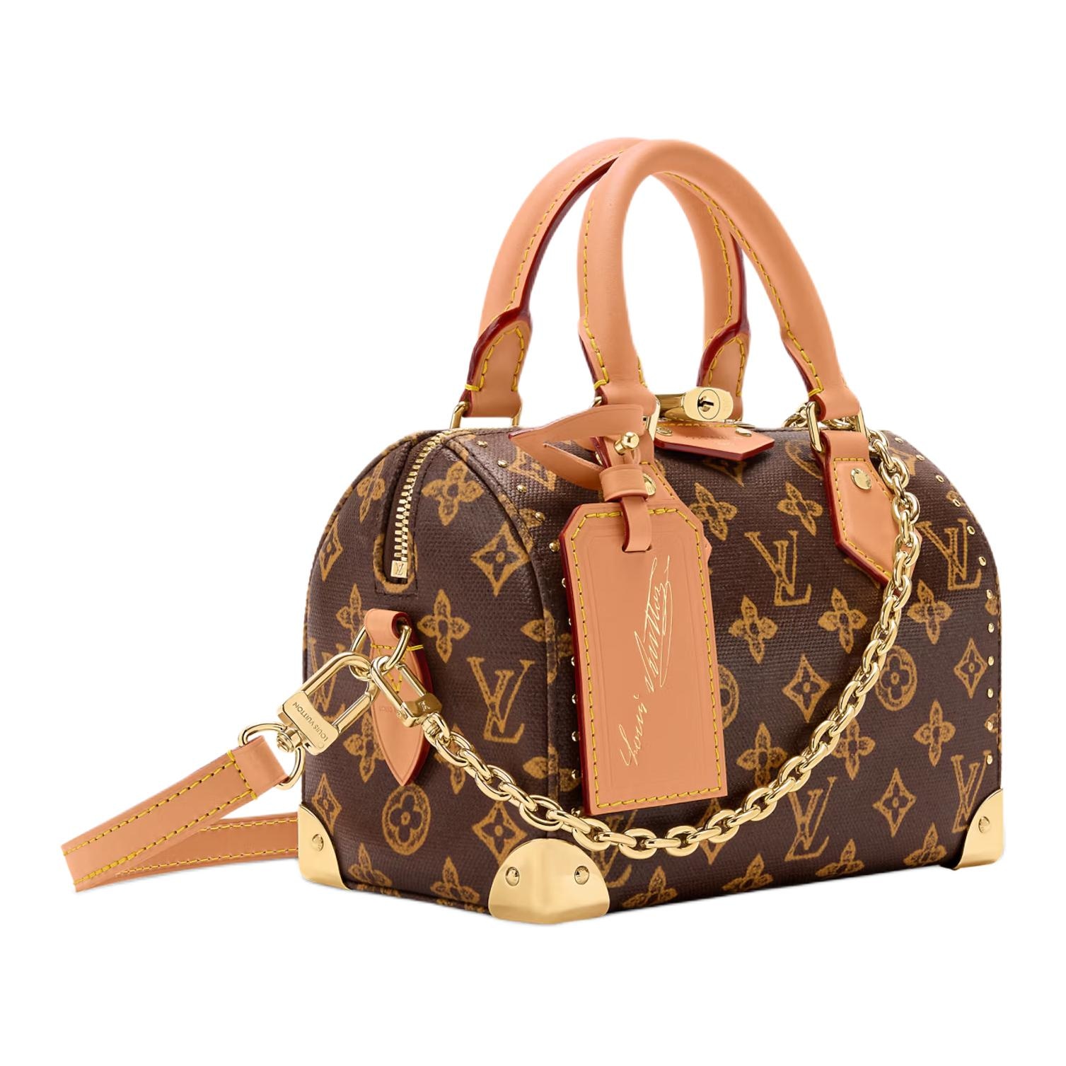 Louis Vuitton Monogram 130Speedy TRUNK 20 20 — фото 1