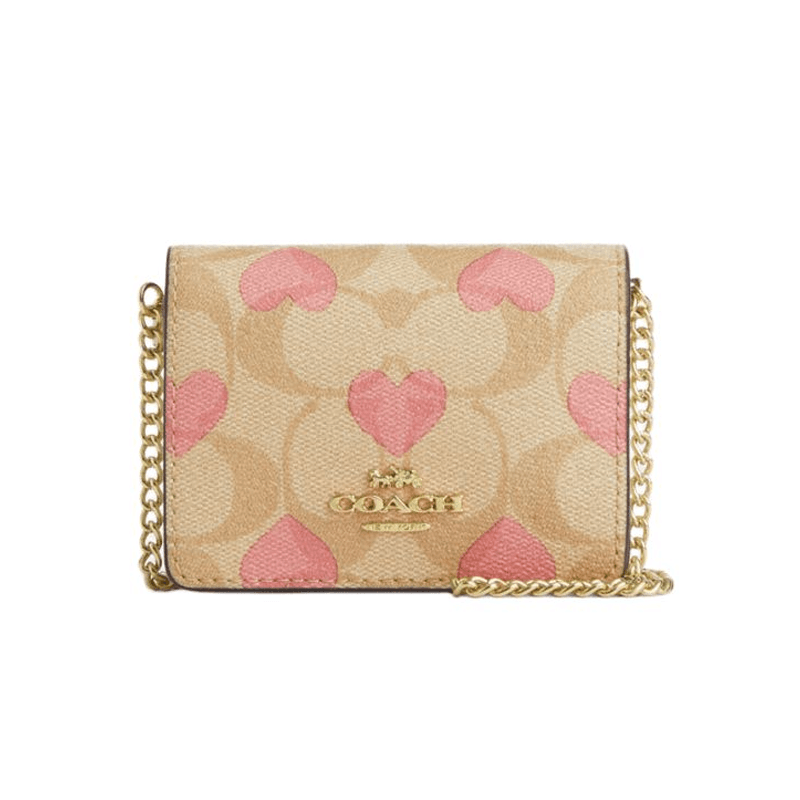 Сумки Coach Mini Wallet 10 pvc