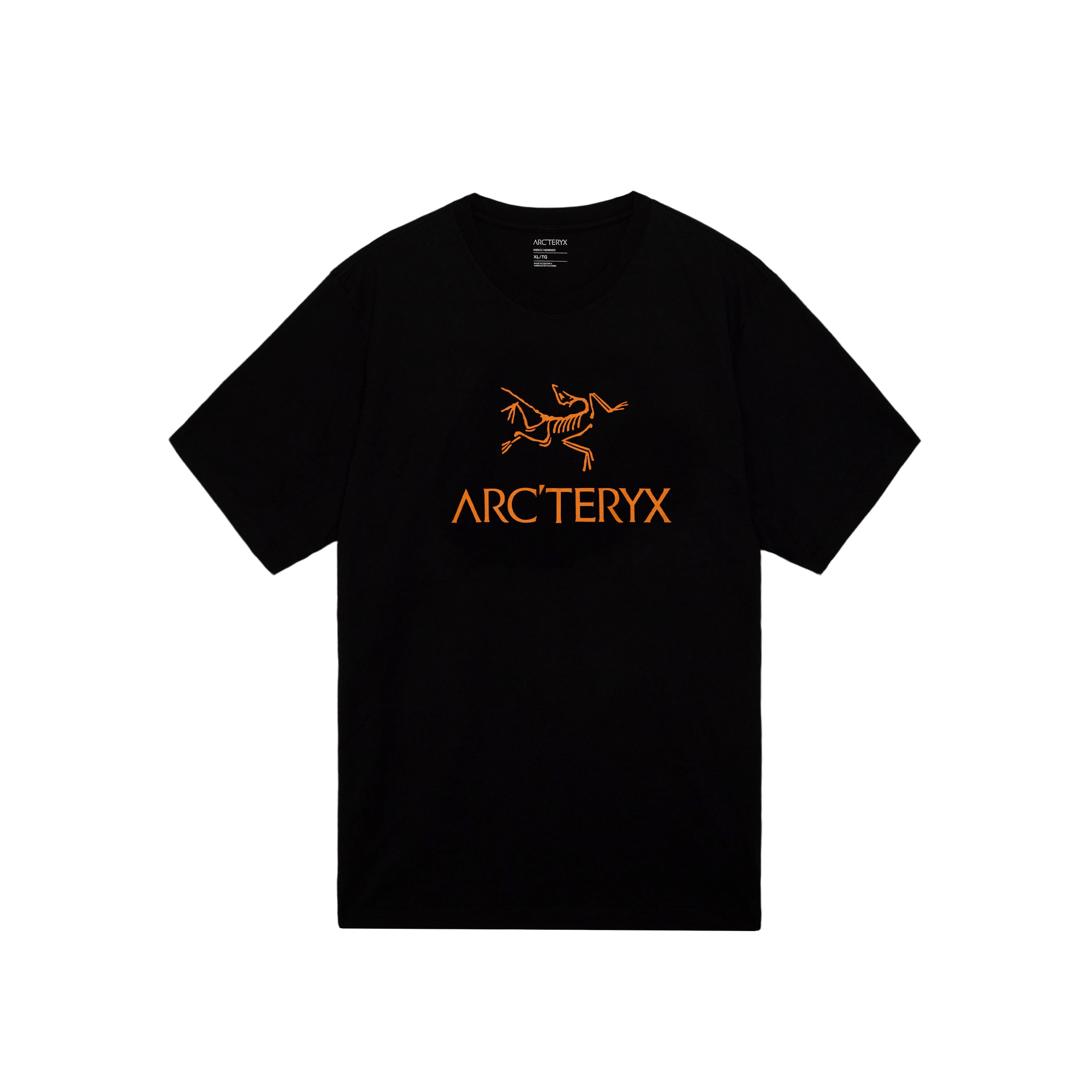 Arcteryx IONIA LOGO T — фото 4