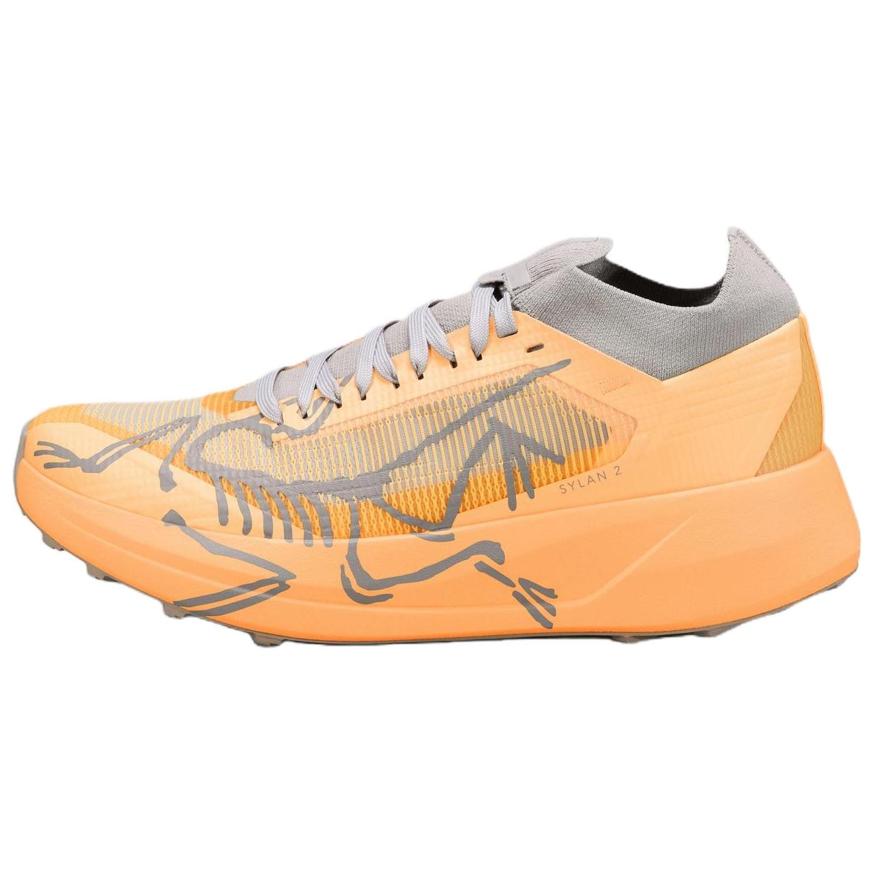 Arcteryx SYLAN 2