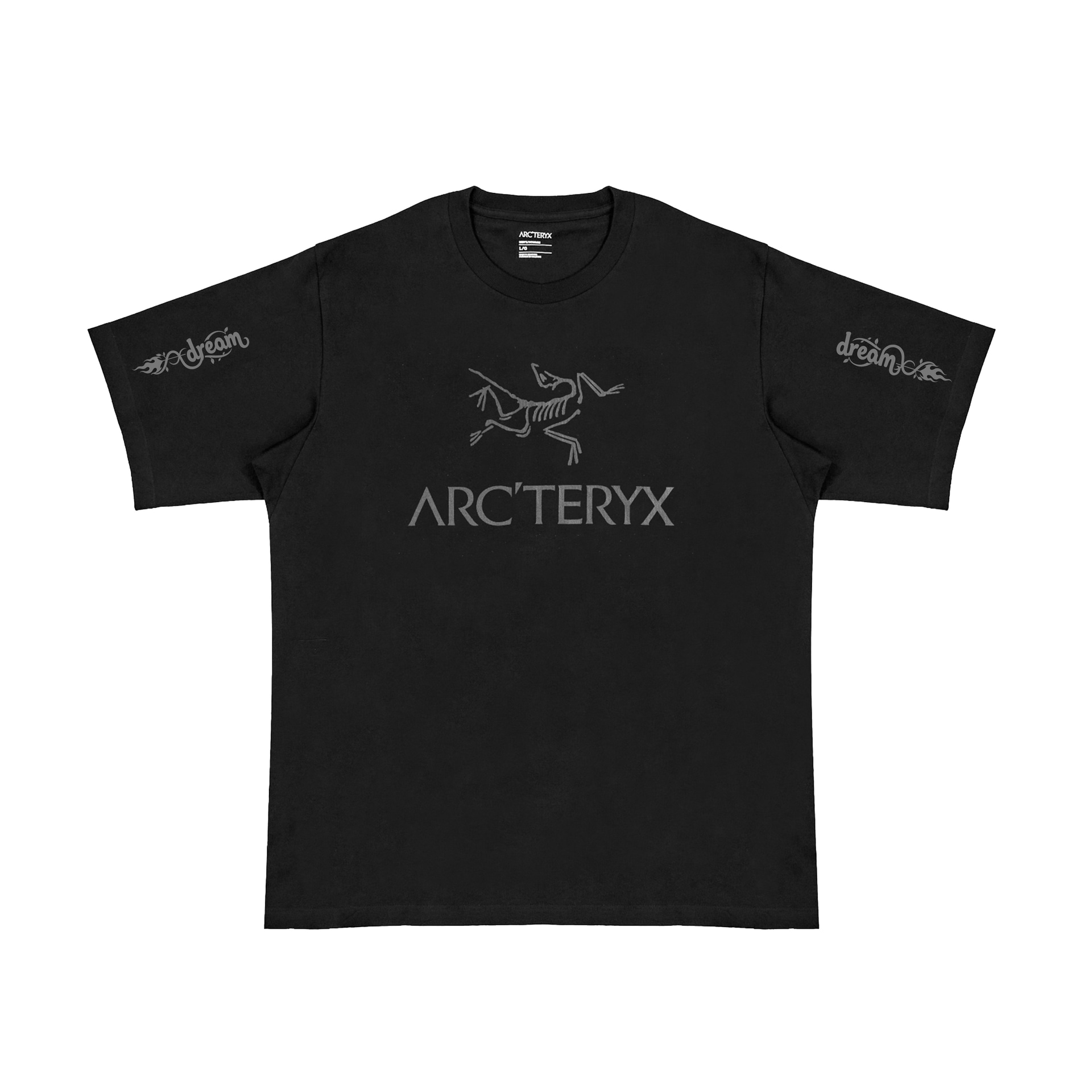 Футболка Arcteryx IONIA ARC'WORD LOGO SHIRT SSLogo T