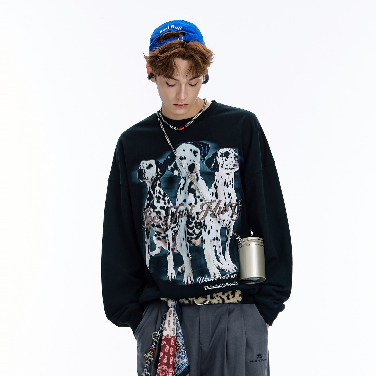 Bjhg Casual Spot Dog Print Sweatshirt — фото 2