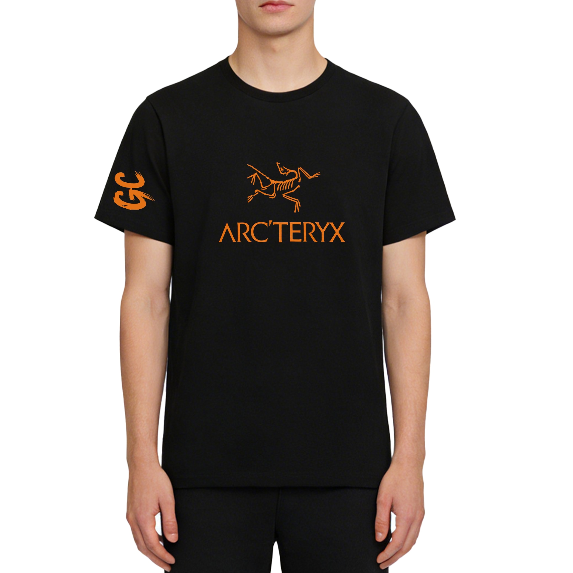 Arcteryx IONIA LOGO T — фото 2