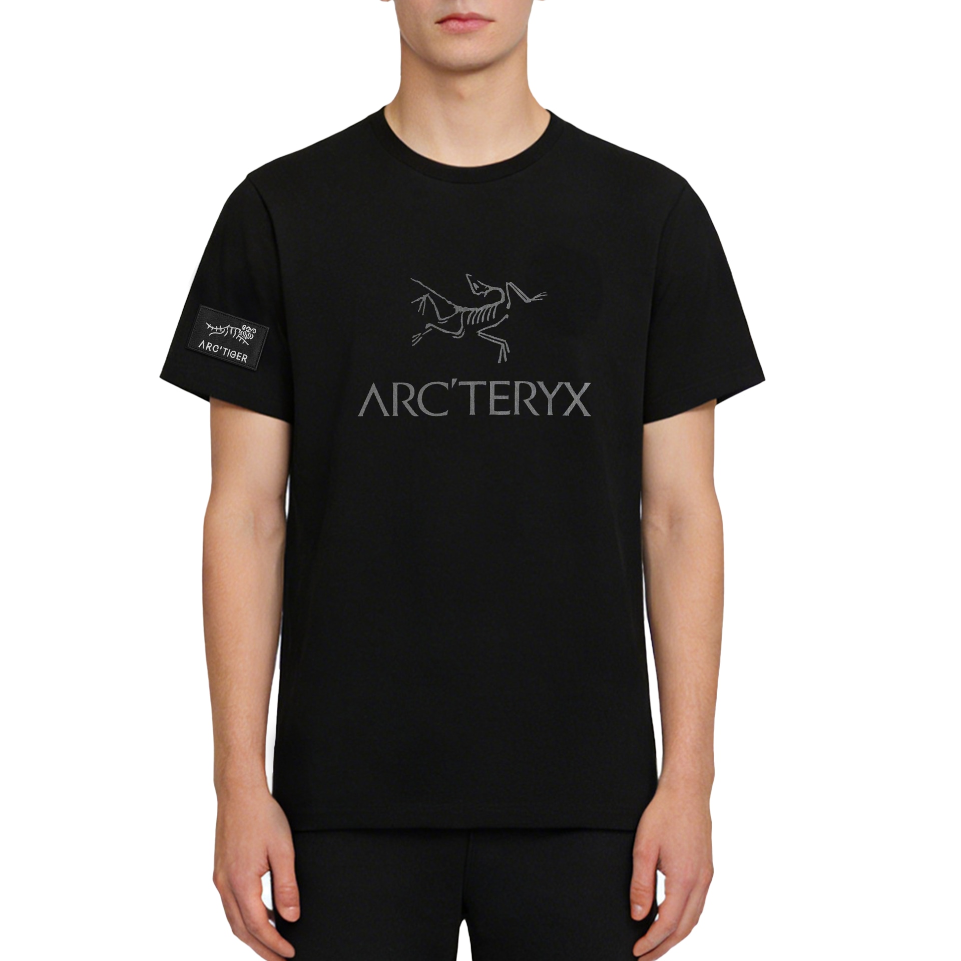 Arcteryx IONIA ARC'WORD Logo T — фото 2