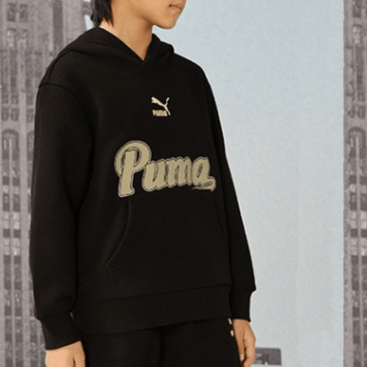 Puma Sportstylehoodie WISETHERMA LOGO FL B — фото 2