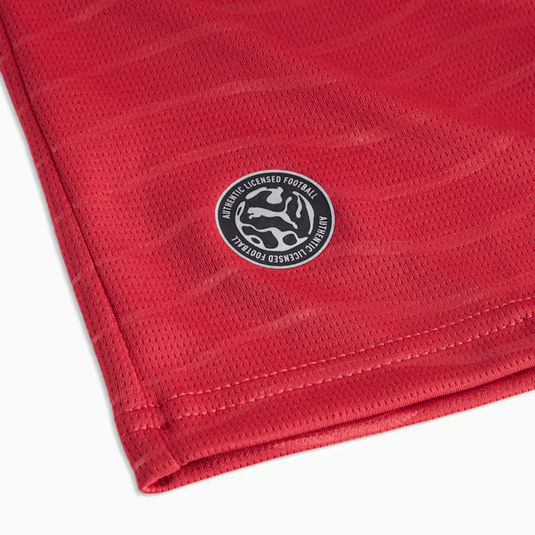 Puma JERSEY REPLICA FW25 FPF HOME PLAYER 25 V — фото 2